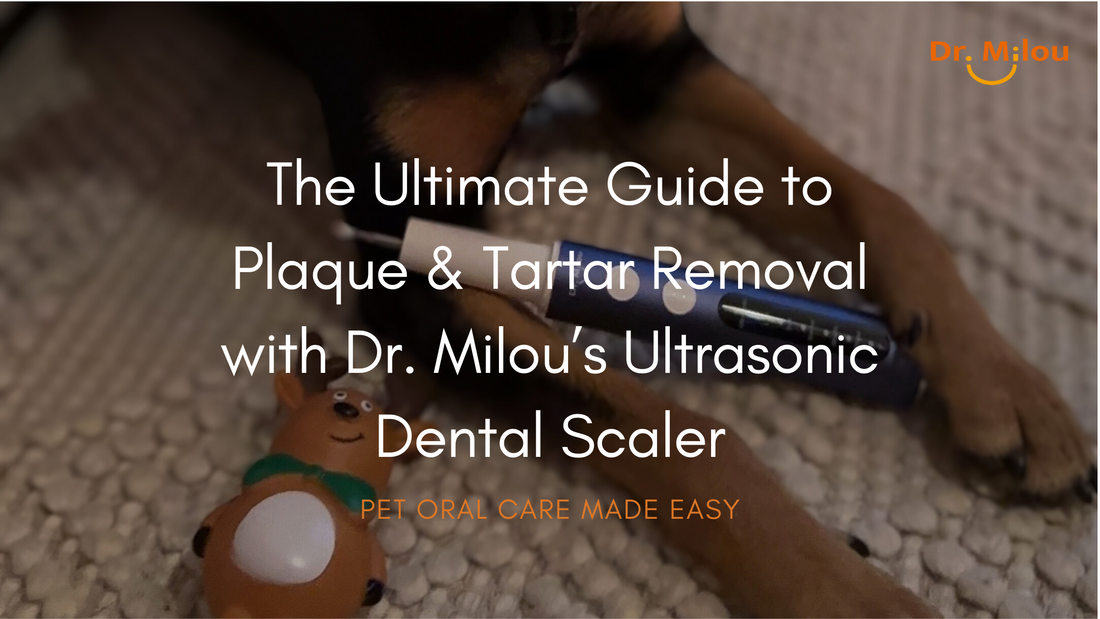 The Ultimate Guide to Plaque and Tartar Removal with Dr. Milou’s Ultrasonic Dental Scaler