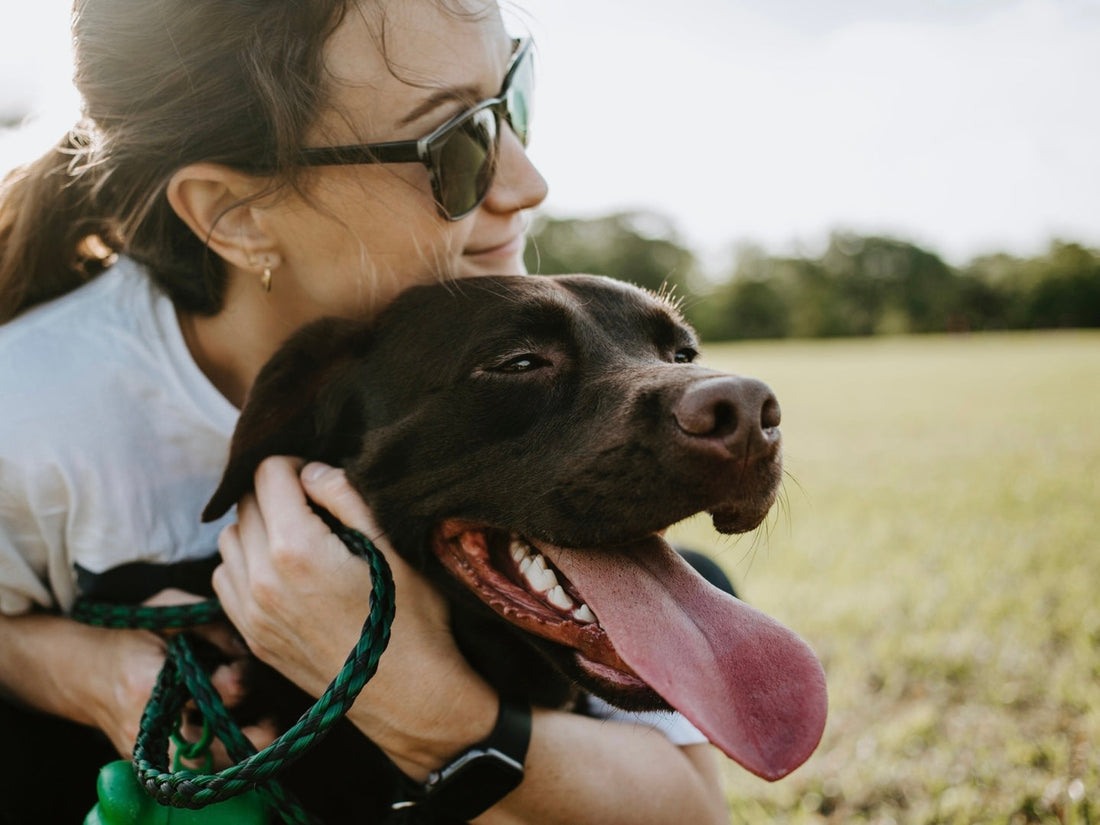 Why Pet Dental Health Matters More Than You Think