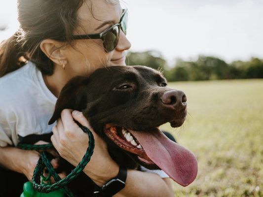 Why Pet Dental Health Matters More Than You Think