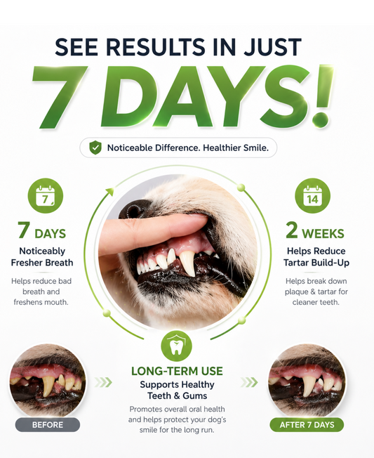 Dr. Milou Pet Dental Powder Sticks – Easy Daily Oral Care for Dogs & Cats 【No Brushing Needed】