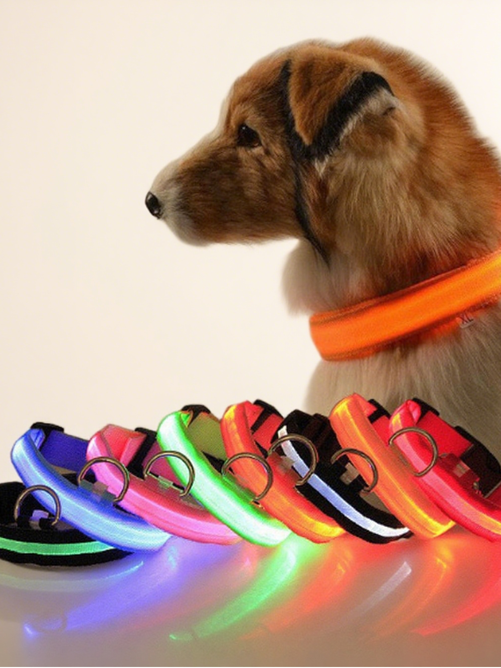 Milou & Lumi LED Glowing Pet Collar - Red