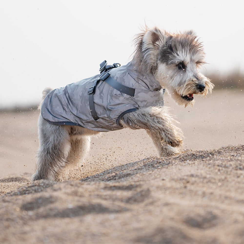 Milou & Lumi Dog Waterproof Reflective Jacket with Harness