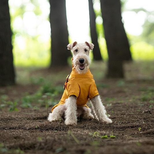 Milou & Lumi Dog Waterproof Reflective Jacket with Harness