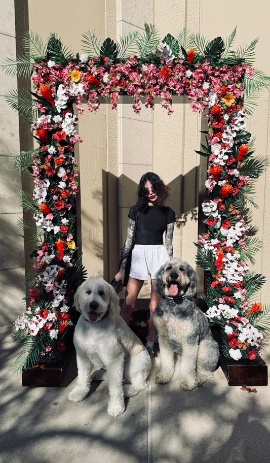 How Tracy Transformed Her Dogs’ Dental Health with Dr. Milou