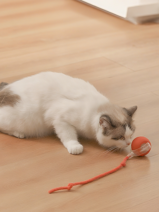 Milou & Lumi Smart Interactive Pet Toy Ball