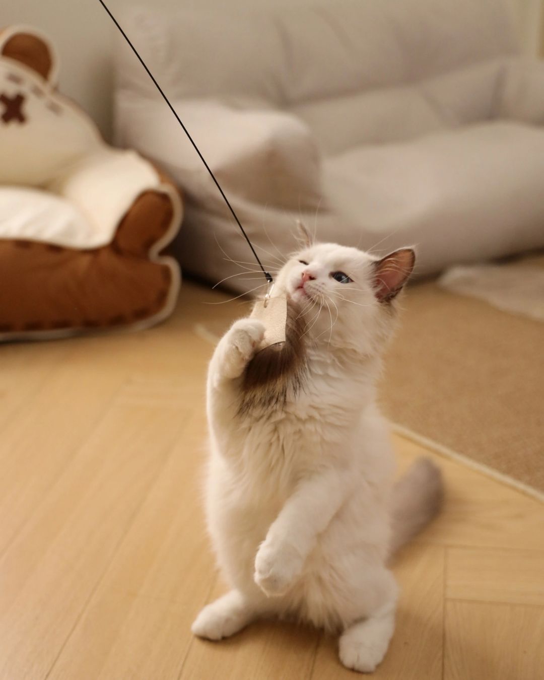 Enrichment Cat Teaser Wand Kit by Milou & Lumi — Includes Wand + Natural-Fur Attachments (9 Styles)