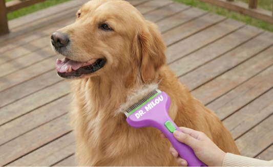 CalmCare Grooming Brush with One-Click Fur Release by Dr. Milou