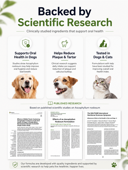 Dr. Milou Pet Dental Powder Sticks – Easy Daily Oral Care for Dogs & Cats 【No Brushing Needed】