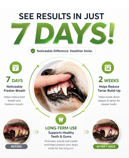 Dr. Milou Pet Dental Powder Sticks – Easy Daily Oral Care for Dogs & Cats 【No Brushing Needed】