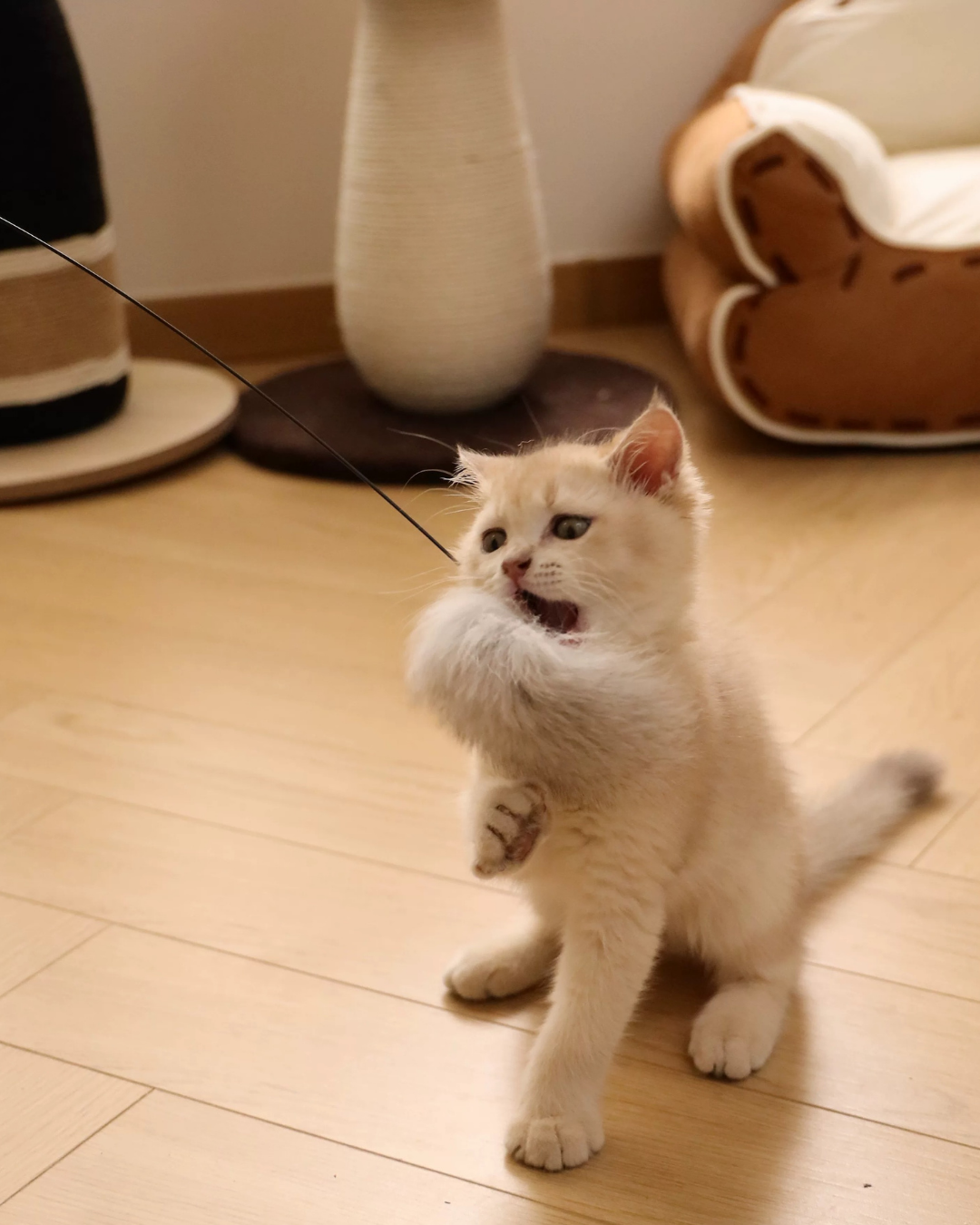 Enrichment Cat Teaser Wand Kit by Milou & Lumi — Includes Wand + Natural-Fur Attachments (9 Styles)