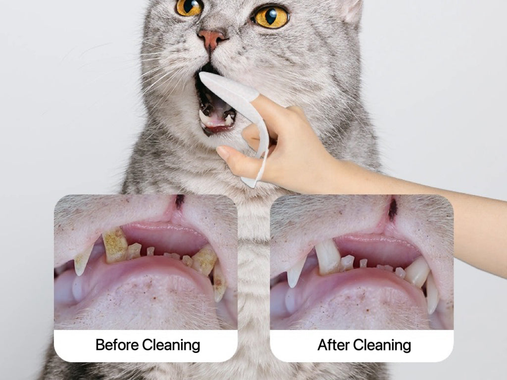 Dr. Milou Pet Dental Wipes – Individually Packaged (20 pcs), Gentle & Effective Home Oral Care Solution for Dogs & Cats