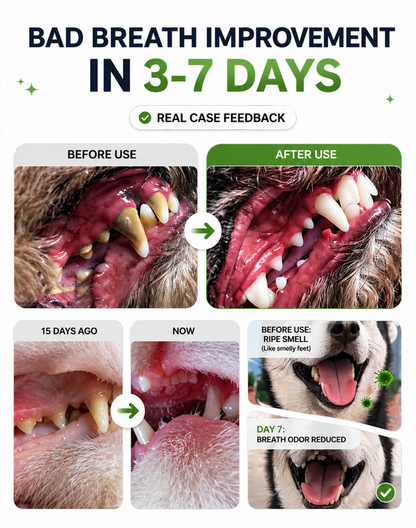 Dr. Milou Pet Dental Powder Sticks – Easy Daily Oral Care for Dogs & Cats 【No Brushing Needed】