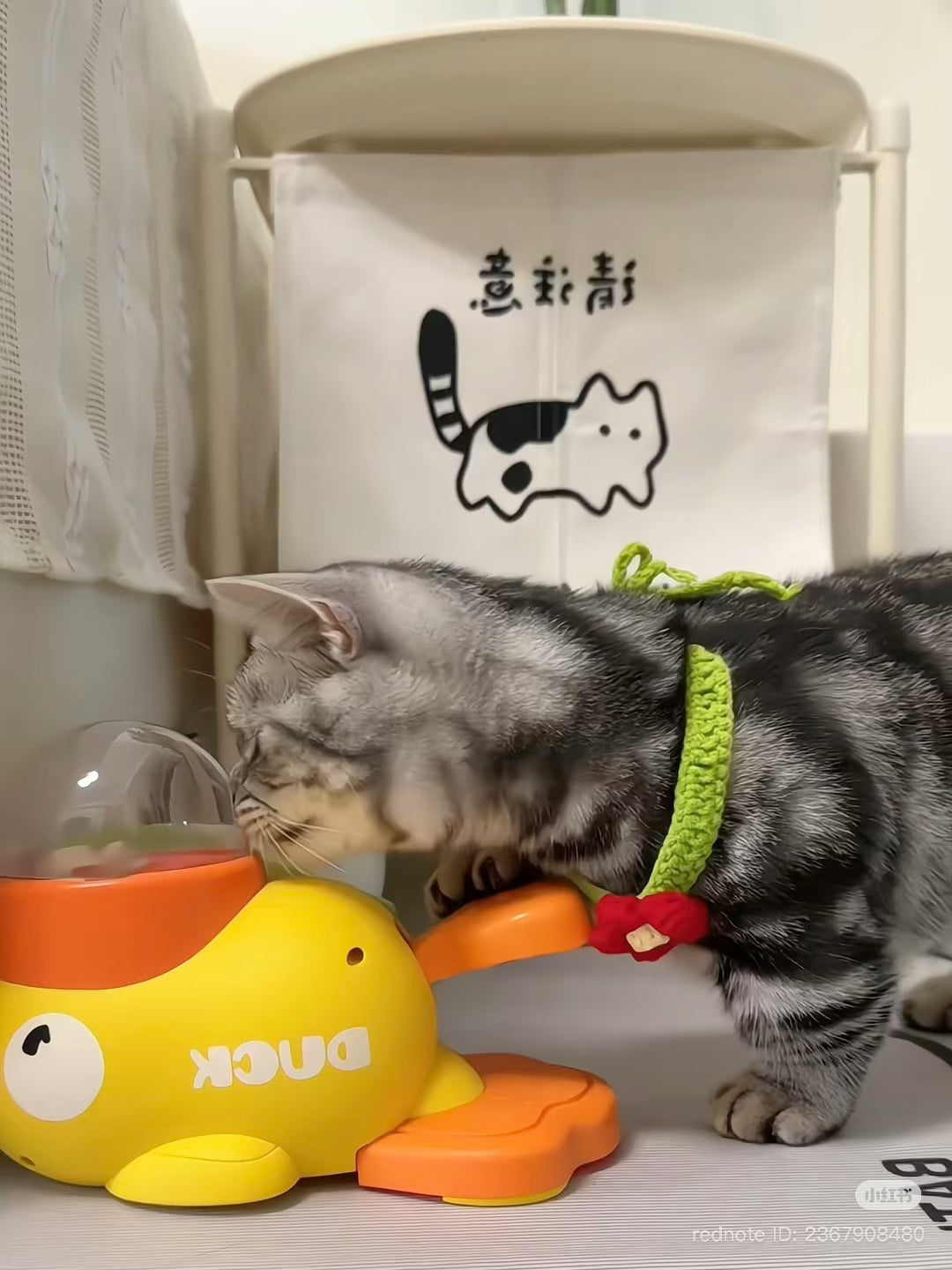 🐥 Quacky Buddy – 2‑in‑1 IQ Toy & Slow Feeder for Dogs & Cats