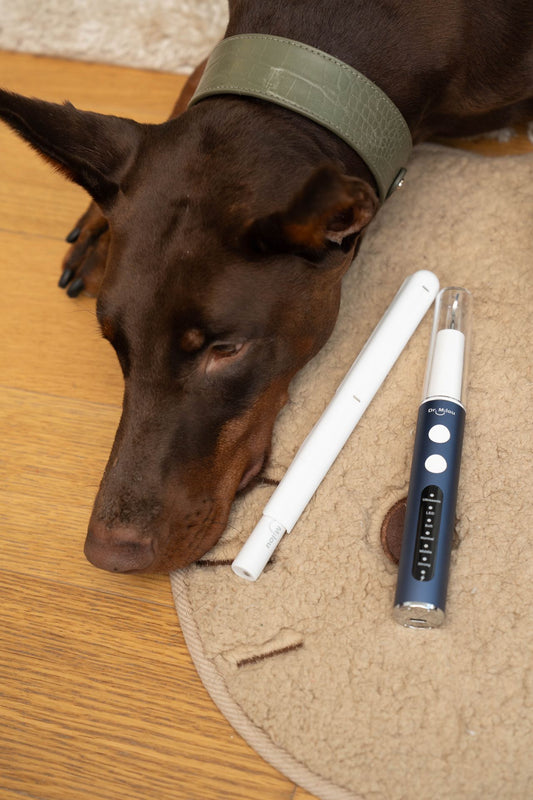 Dr. Milou Ultrasonic Home Pet Oral Care Set (100% Money Back Guarantee)