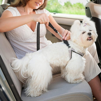 Milou & Lumi Adjustable Pet Car Seat Belt