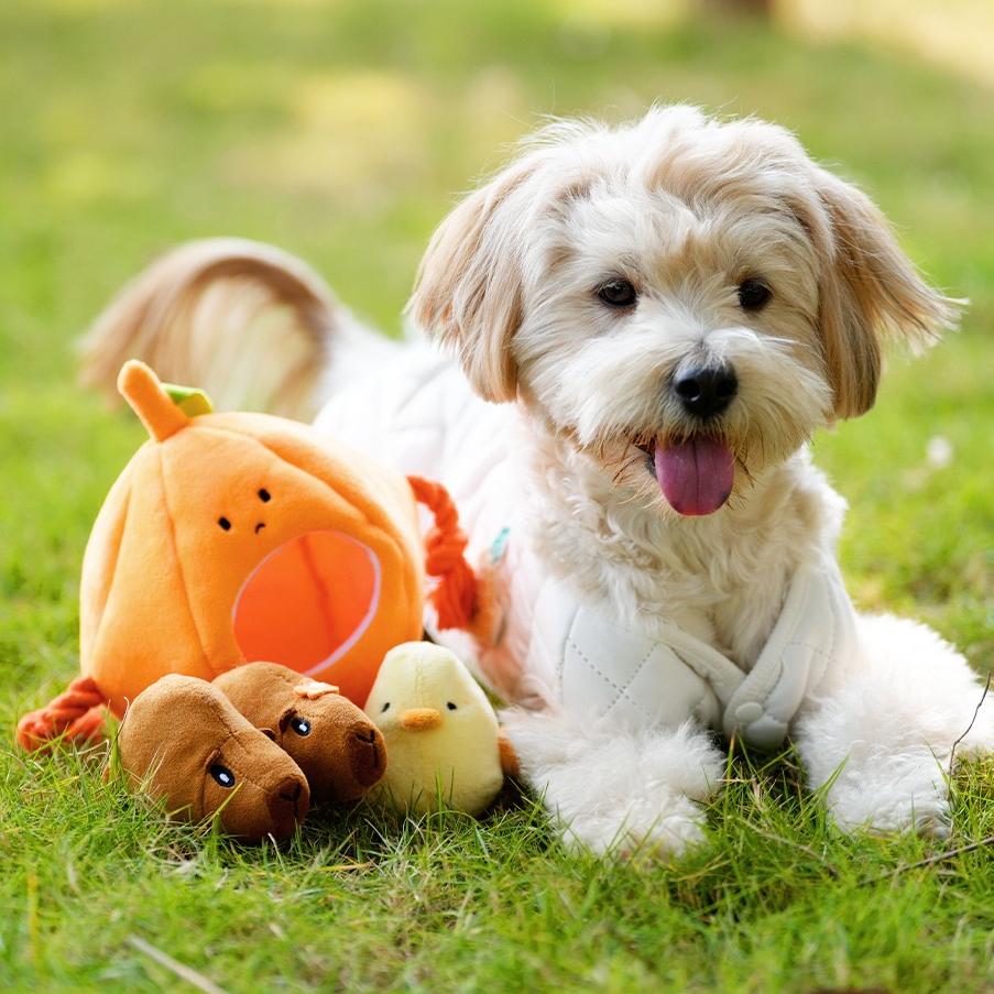 Milou & Lumi Pet Plush Chew Toy - Orange