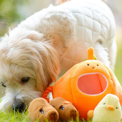 Milou & Lumi Pet Plush Chew Toy - Orange