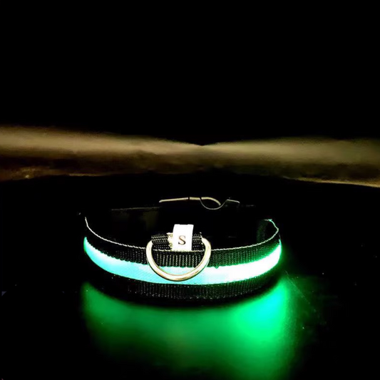 Milou & Lumi LED Glowing Pet Collar - Rainbow