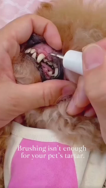 Home Pet Oral Care (Electric Toothbrush / Ultrasonic Dental Scaler / Full Set) by Dr. Milou